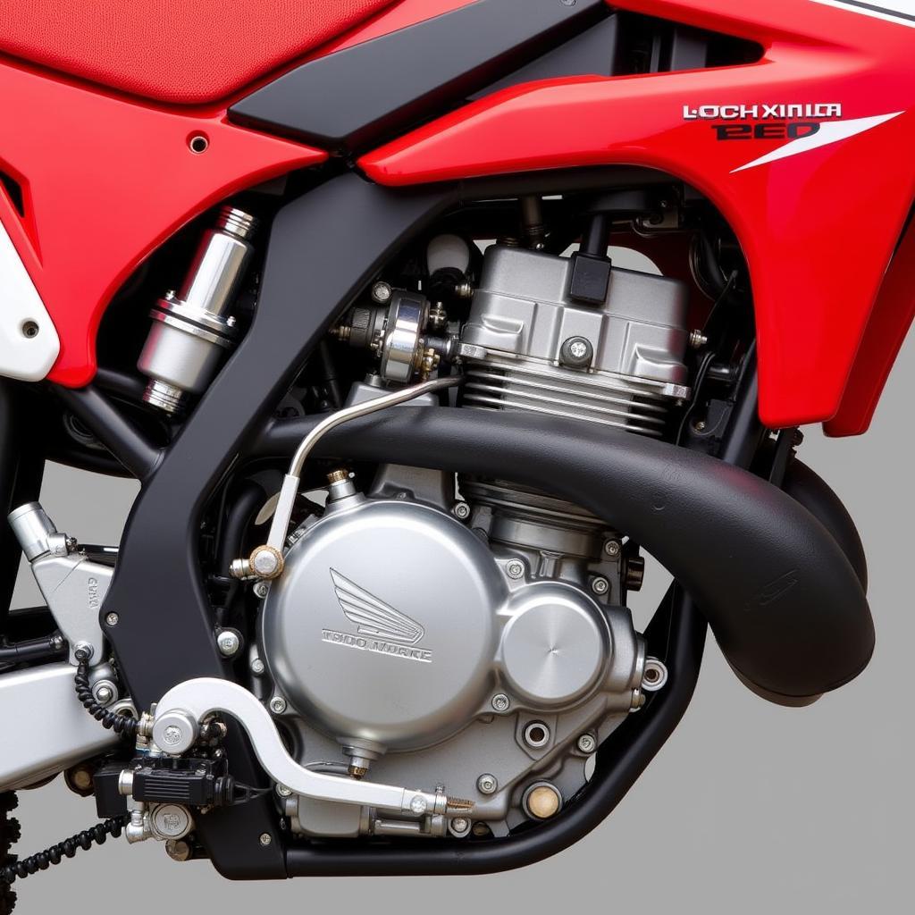 Detailansicht des Honda CR250 Motors