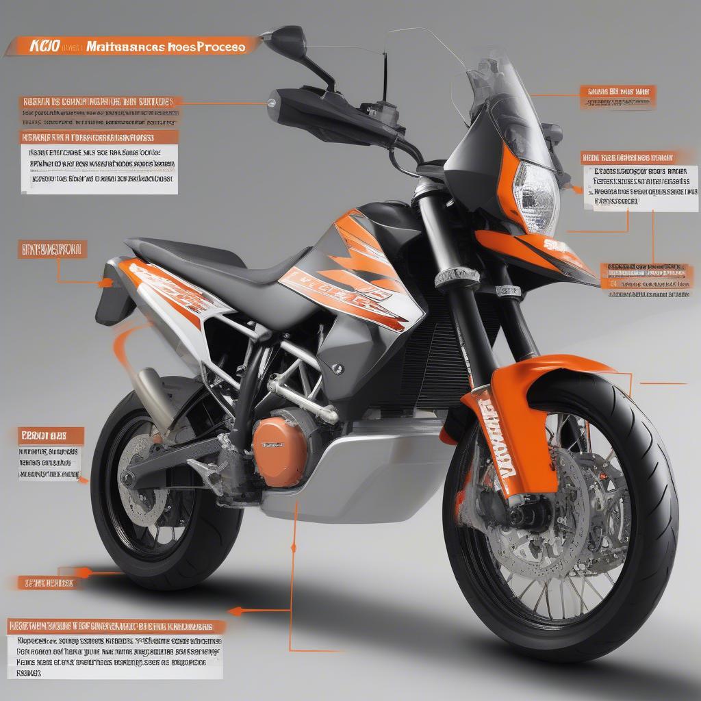 Wartung der KTM 990 Supermoto R