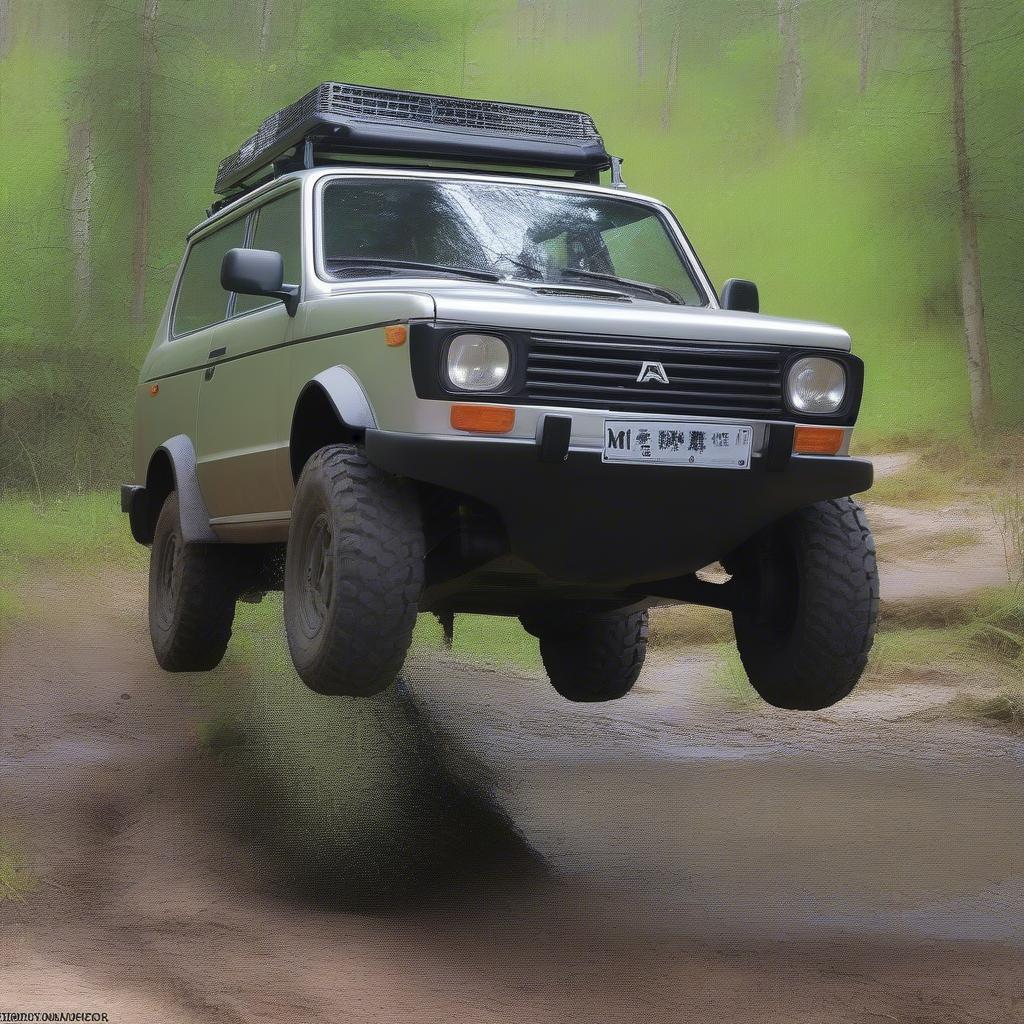 Lada Niva Schutzvorrichtungen