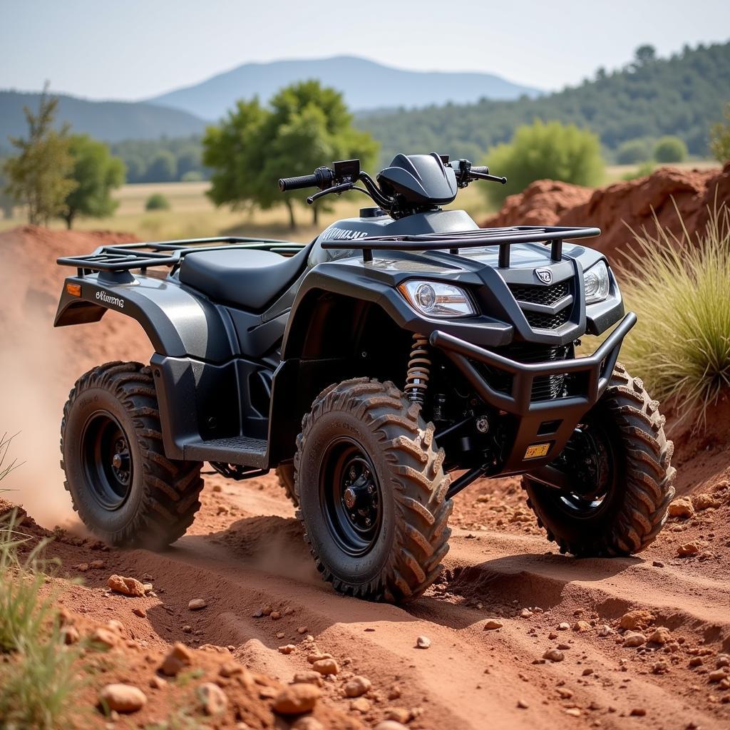 Quad Jinling im Gelände: Ein Fahrer meistert anspruchsvolles Terrain.