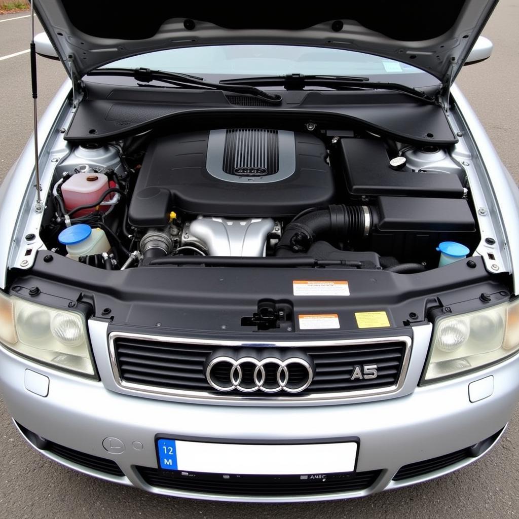 Blick in den Motorraum eines Audi A4 B5