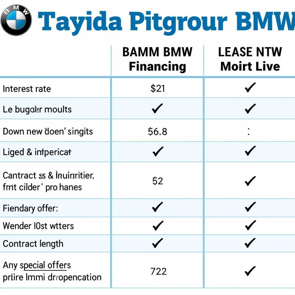 Übersicht über Finanzierungs- und Leasingoptionen im Baum BMW Shop