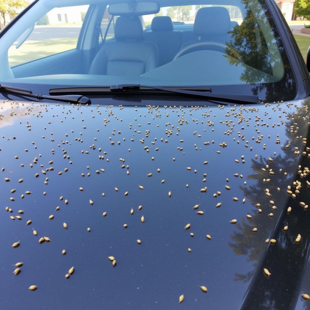 Bienenkot auf einem Auto