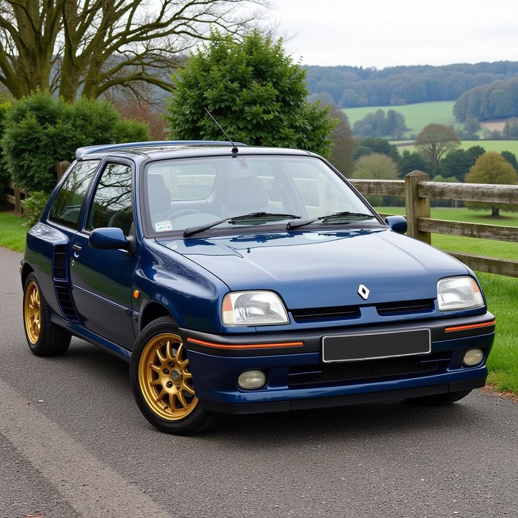 Clio Williams als Klassiker