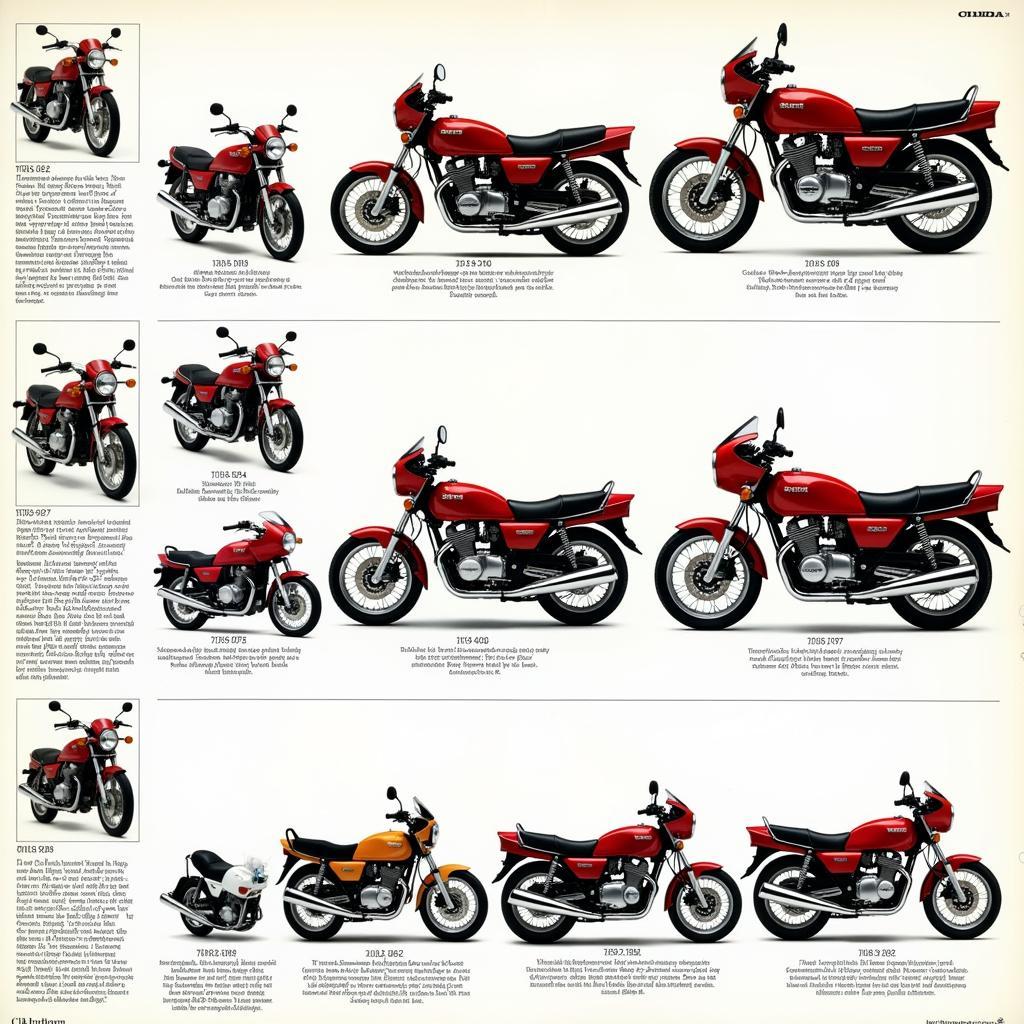 Die Honda CBX 750 im Laufe der Jahre - Von den ersten Modellen bis zu den späteren Varianten.