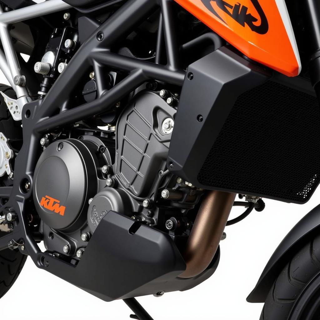 Detailansicht des KTM 990 Supermoto Motors