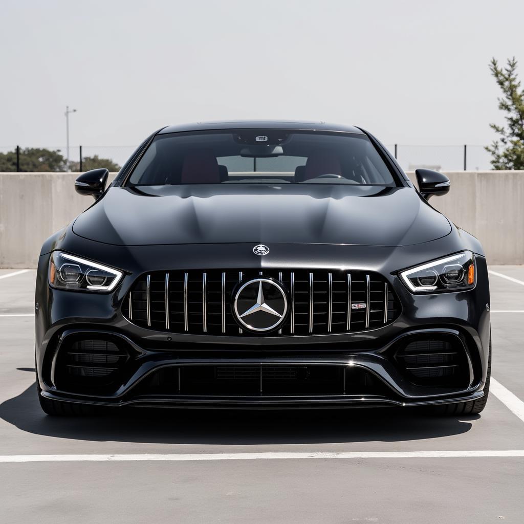 Mercedes-AMG GT 63 S Frontansicht