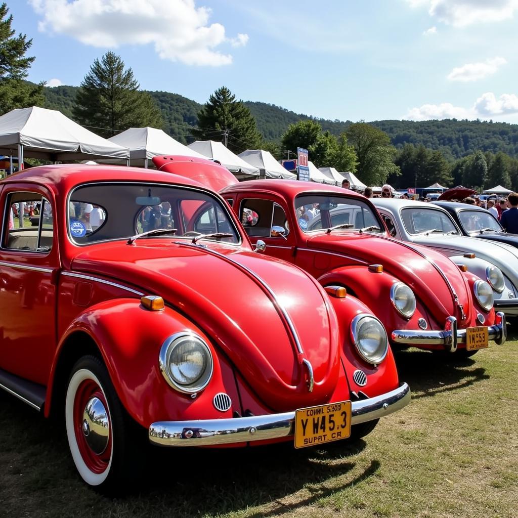 VW-Fans und ihre Tornadorot Fahrzeuge