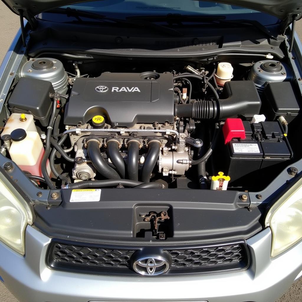 Toyota RAV4 2004 Motorraum