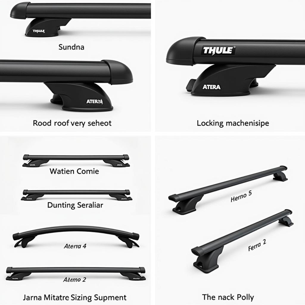 Vergleich verschiedener Dachträgermarken: Thule, Atera usw.
