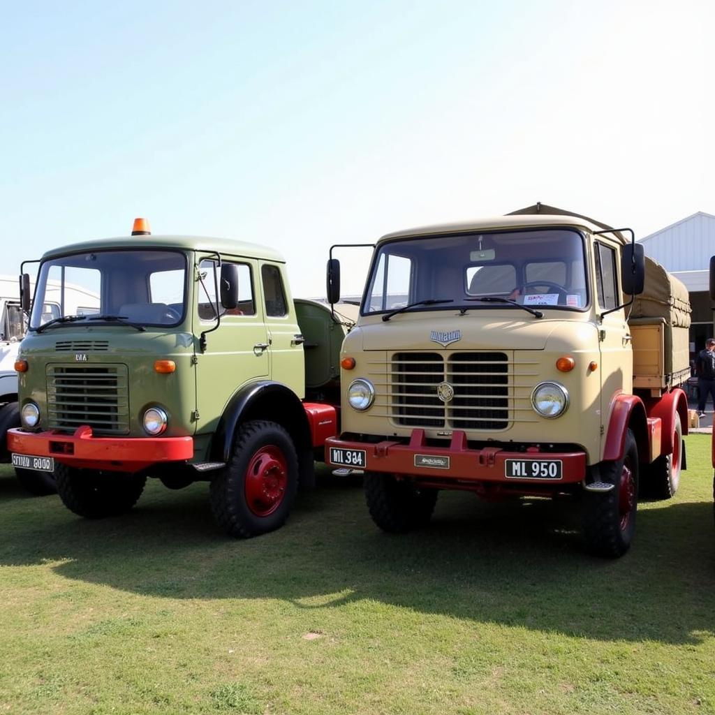 Barkas B1000 und IFA W50 als Oldtimer