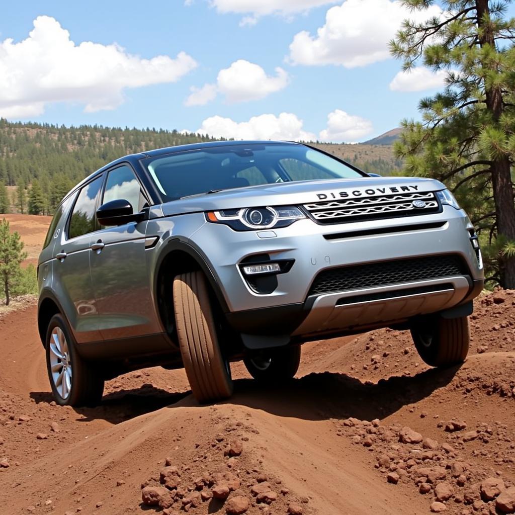 Land Rover Discovery Sport 2016 im Gelände