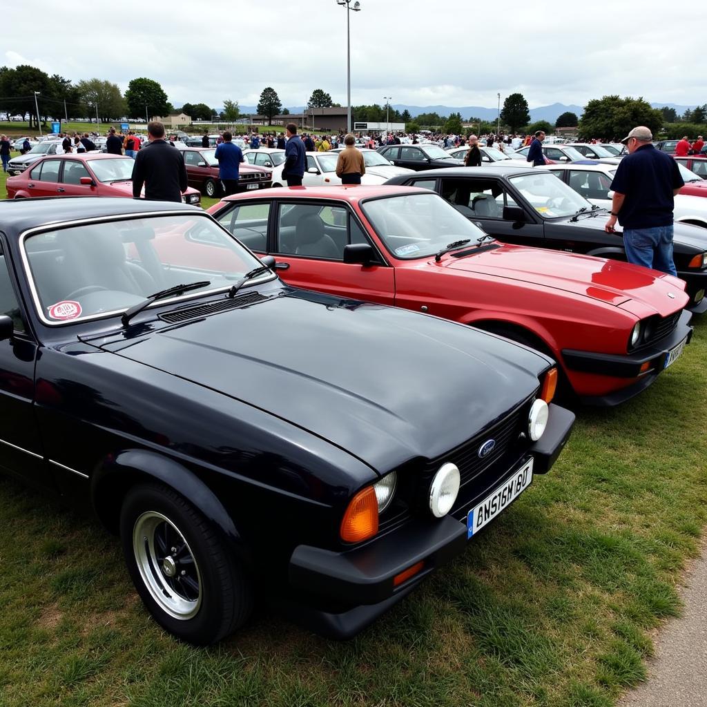 Ford Capri II bei einem Treffen von Autoliebhabern