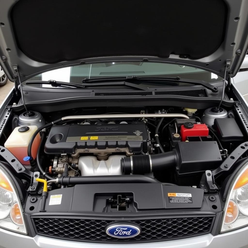 Wartung im Motorraum eines Ford Focus Mk2 ST