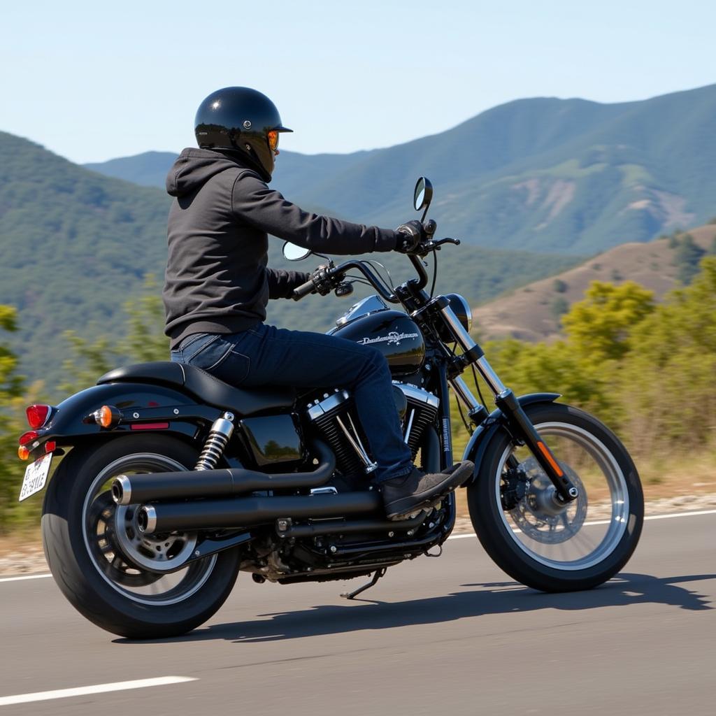 Harley-Davidson Street Bob im Fahren