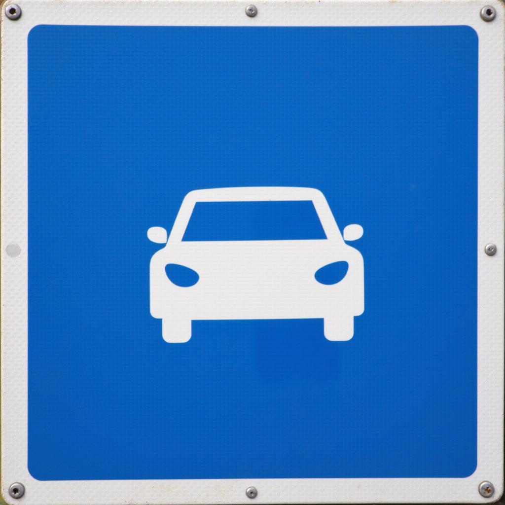 Das deutsche Kraftfahrstraßen-Zeichen 331: Ein blaues, rechteckiges Schild mit einem weißen PKW-Symbol.