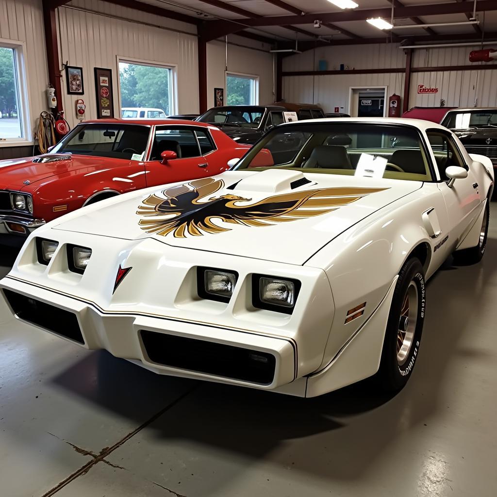 Ein Pontiac Bandit Trans Am als Sammlerstück