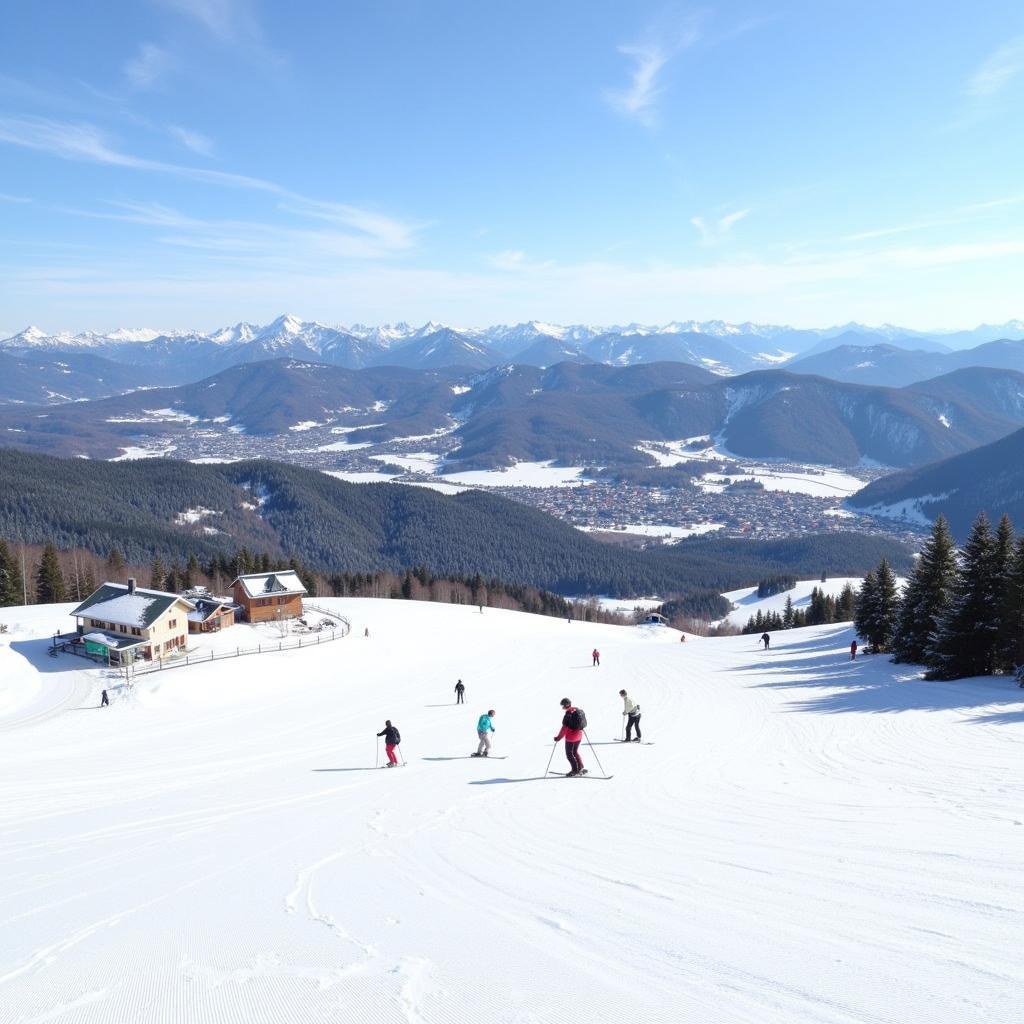 Skischule Thoma Feldberg Grafenmatt Panorama