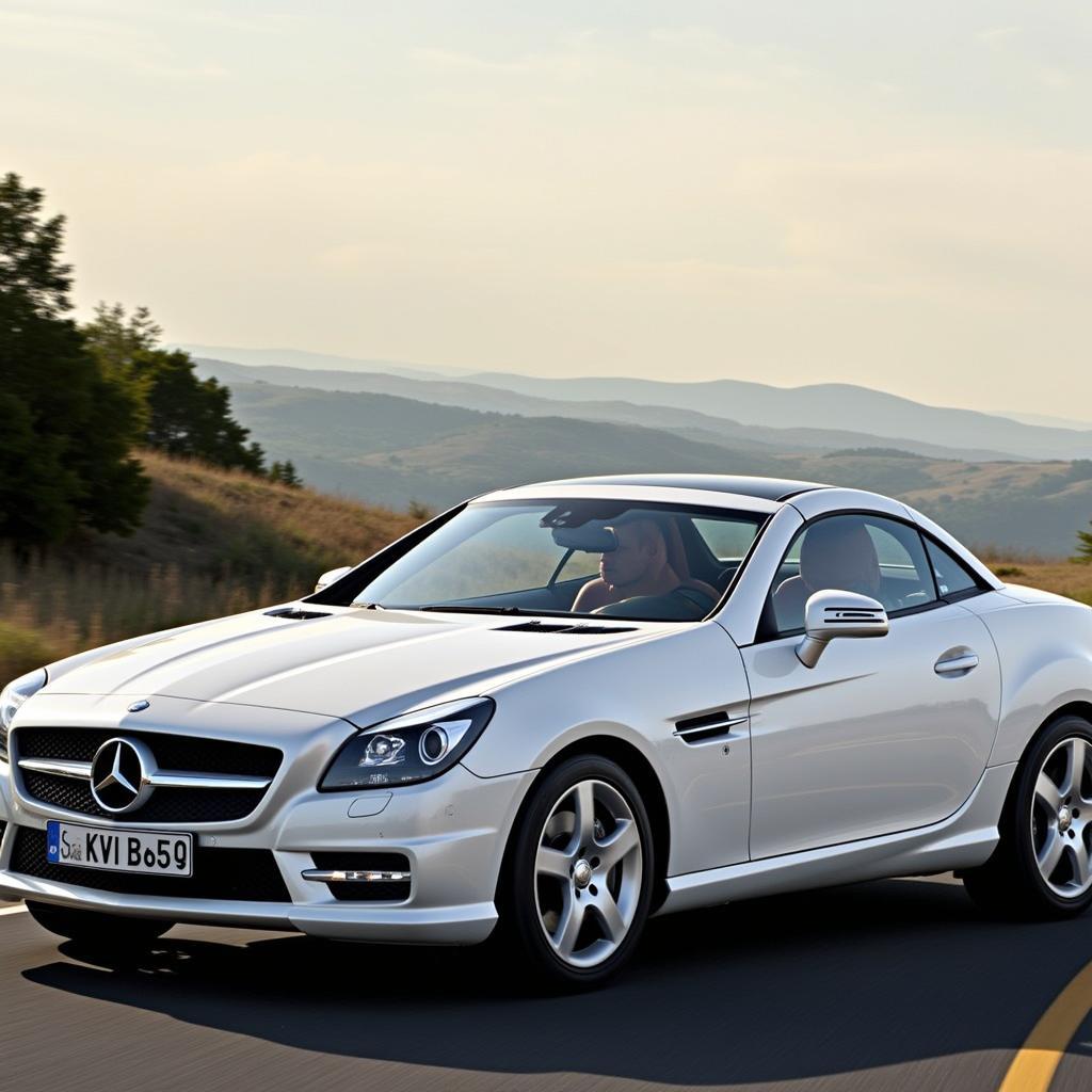 Mercedes-Benz SLK 2010 Außenansicht