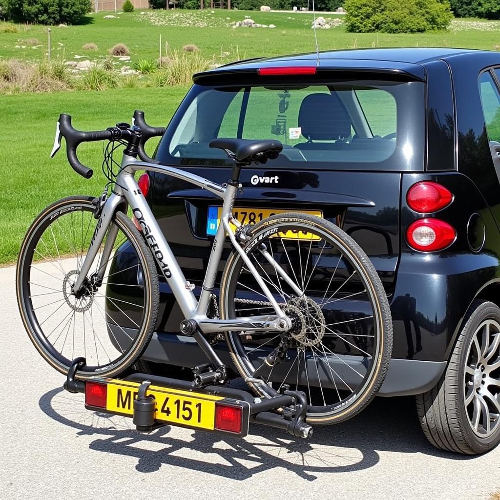 Smart 451 Fahrradträger Anhängerkupplung