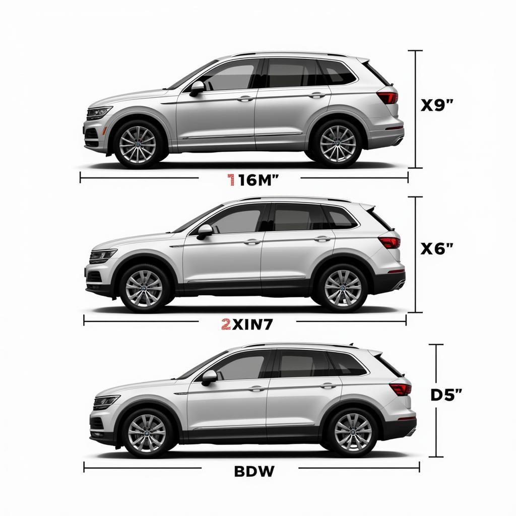 Vergleich der Abmessungen von VW Touareg, BMW X5 und Audi Q7 nebeneinander.