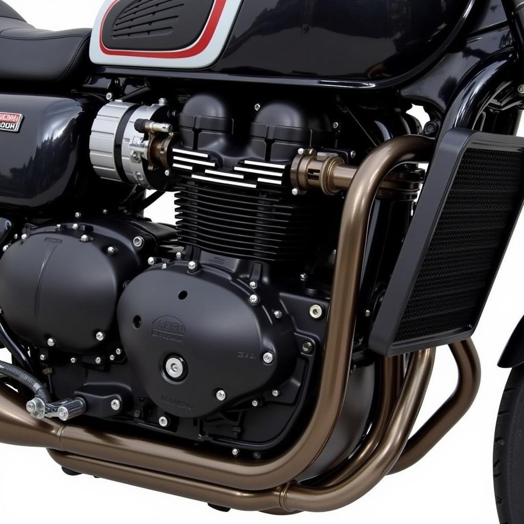 Triumph Trident 660 Motor Detailansicht