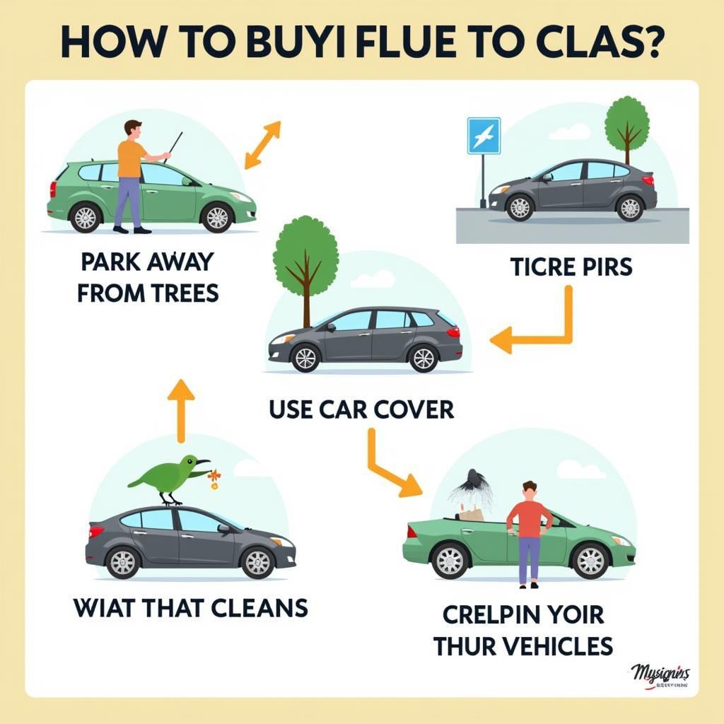 Tipps zum Vermeiden von Vogelscheiße auf dem Auto