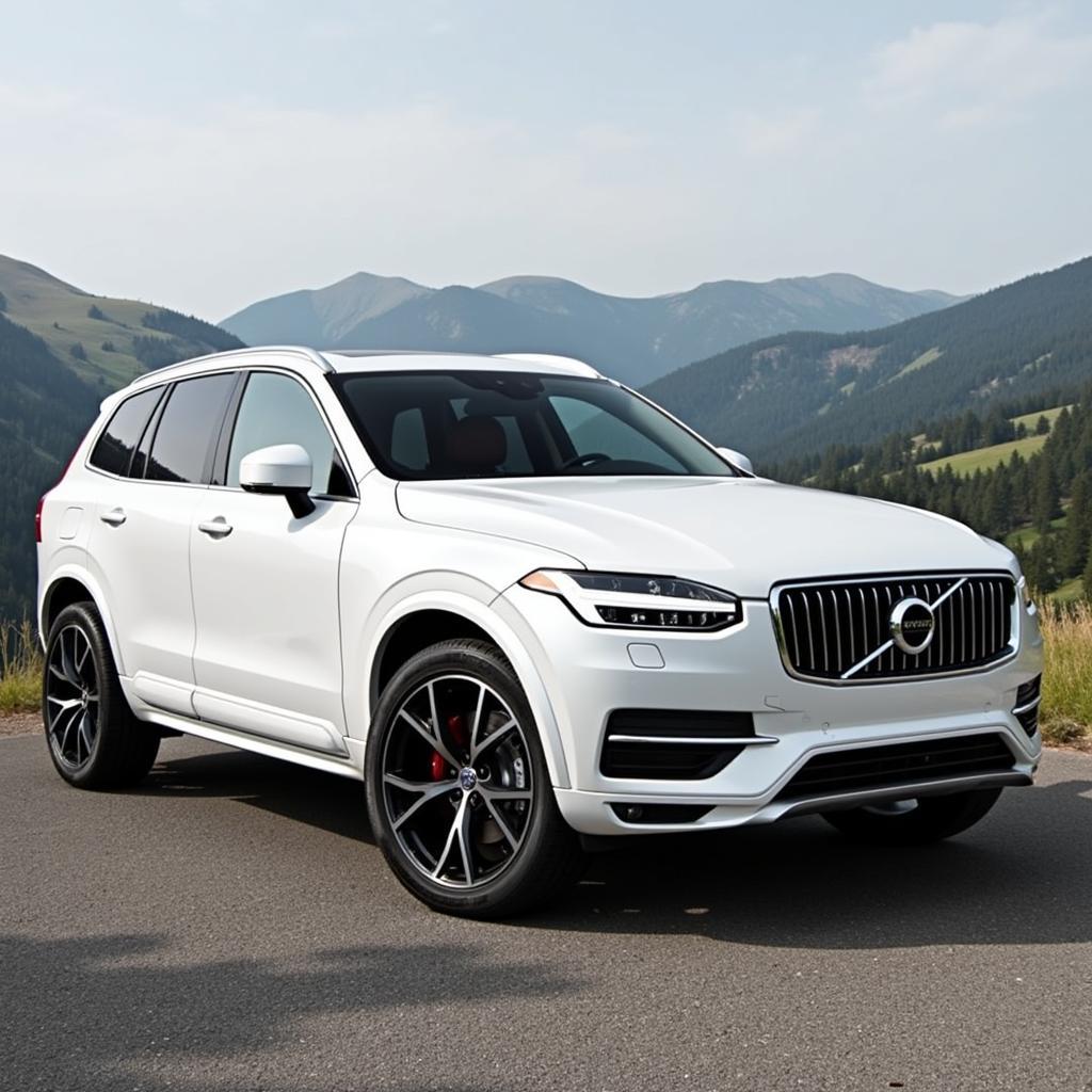 Volvo XC60 Weiß Außenansicht