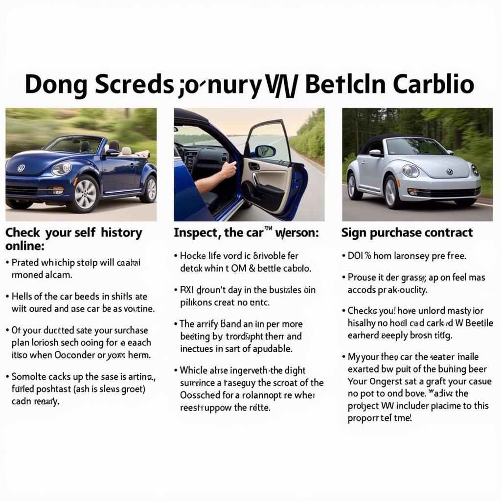 Tipps für den Kauf eines VW Beetle Cabrio