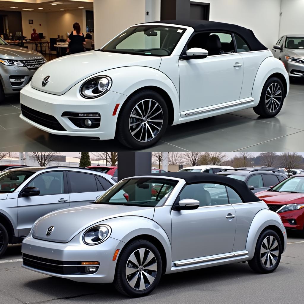 Neuwagen vs. Gebrauchtwagen: VW Beetle Cabrio