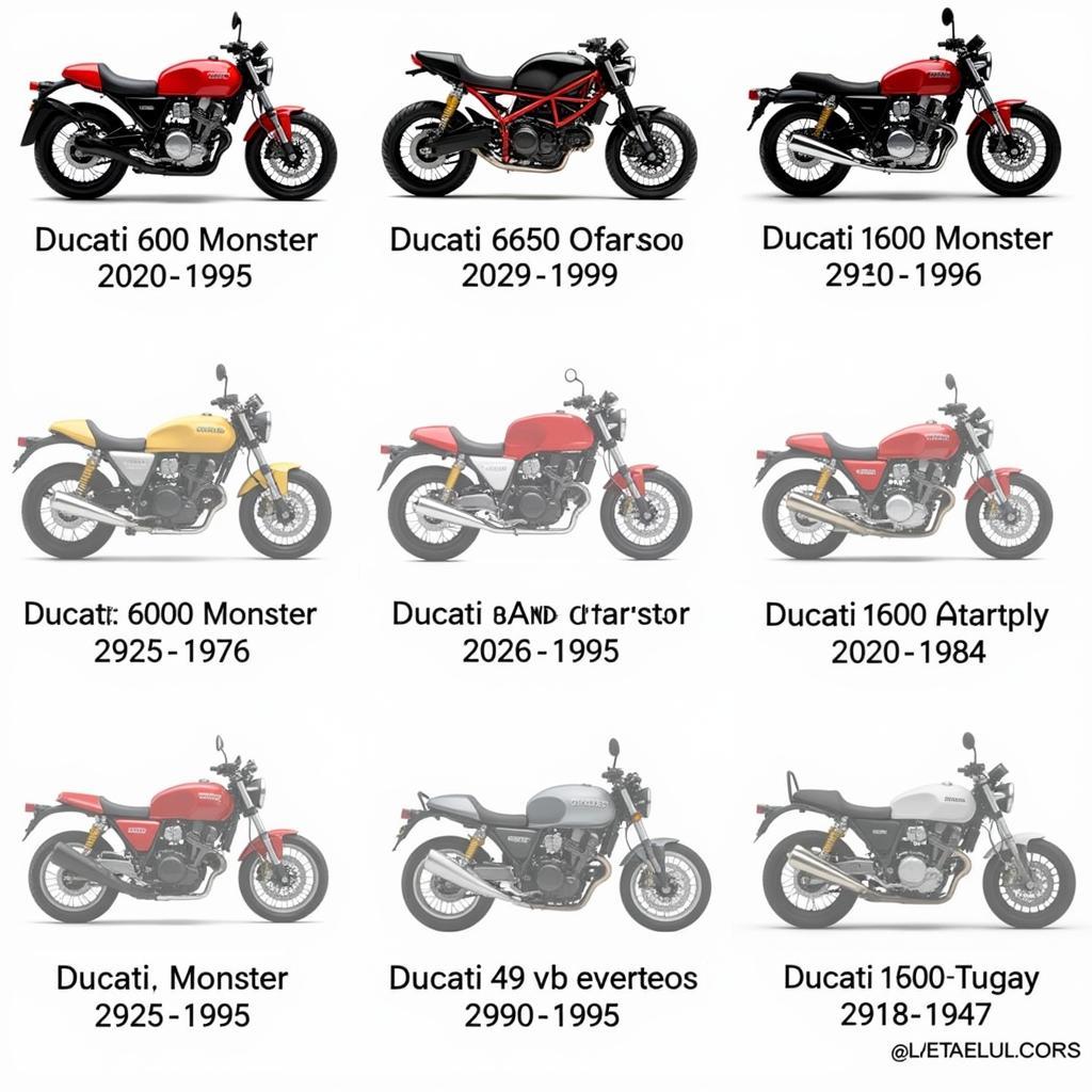 Die Ducati 600 Monster im Laufe der Jahre